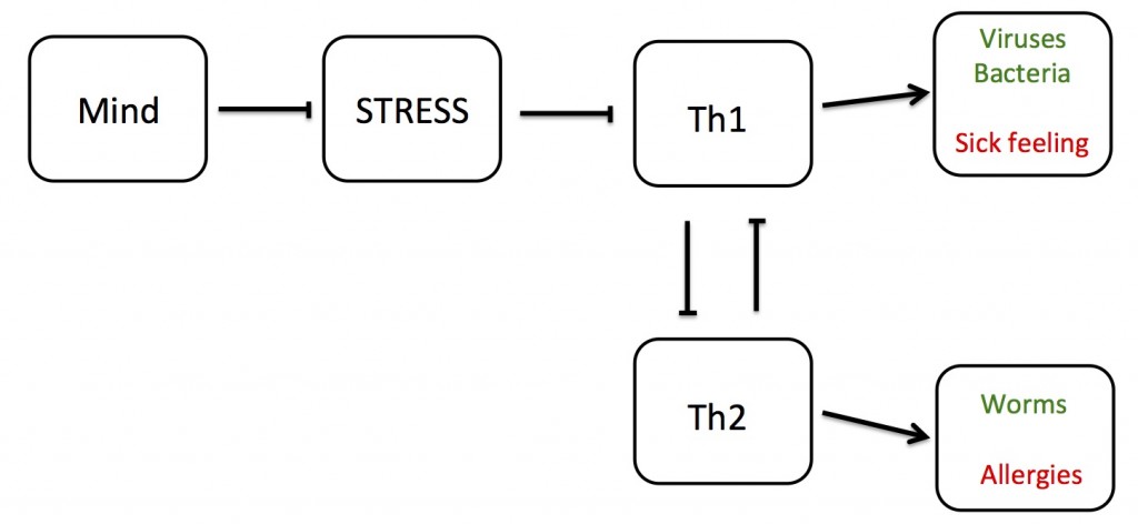 mind allergy paradigm