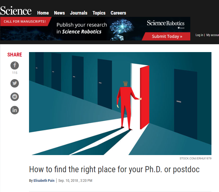 phd or postdoc